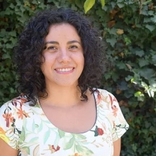 Sonia Palma Tellez, Psicólogo Santiago