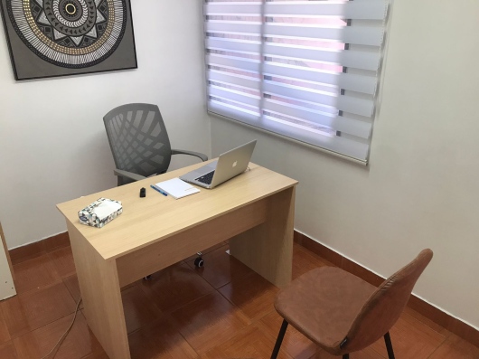 Saludamente - Instituto Clínico de Salud Mental-2
