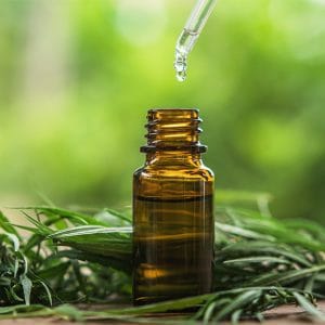 Curso método Accura de extração de cannabis medicinal