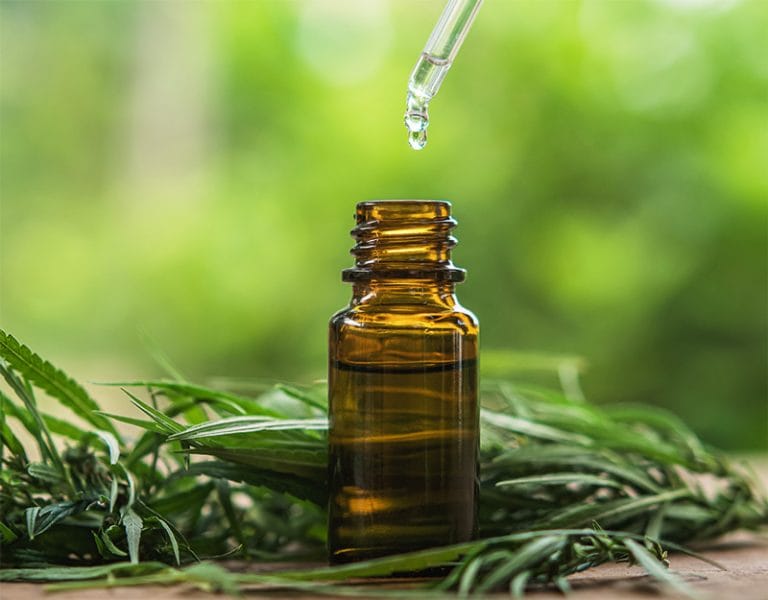 Curso método Accura de extração de cannabis medicinal