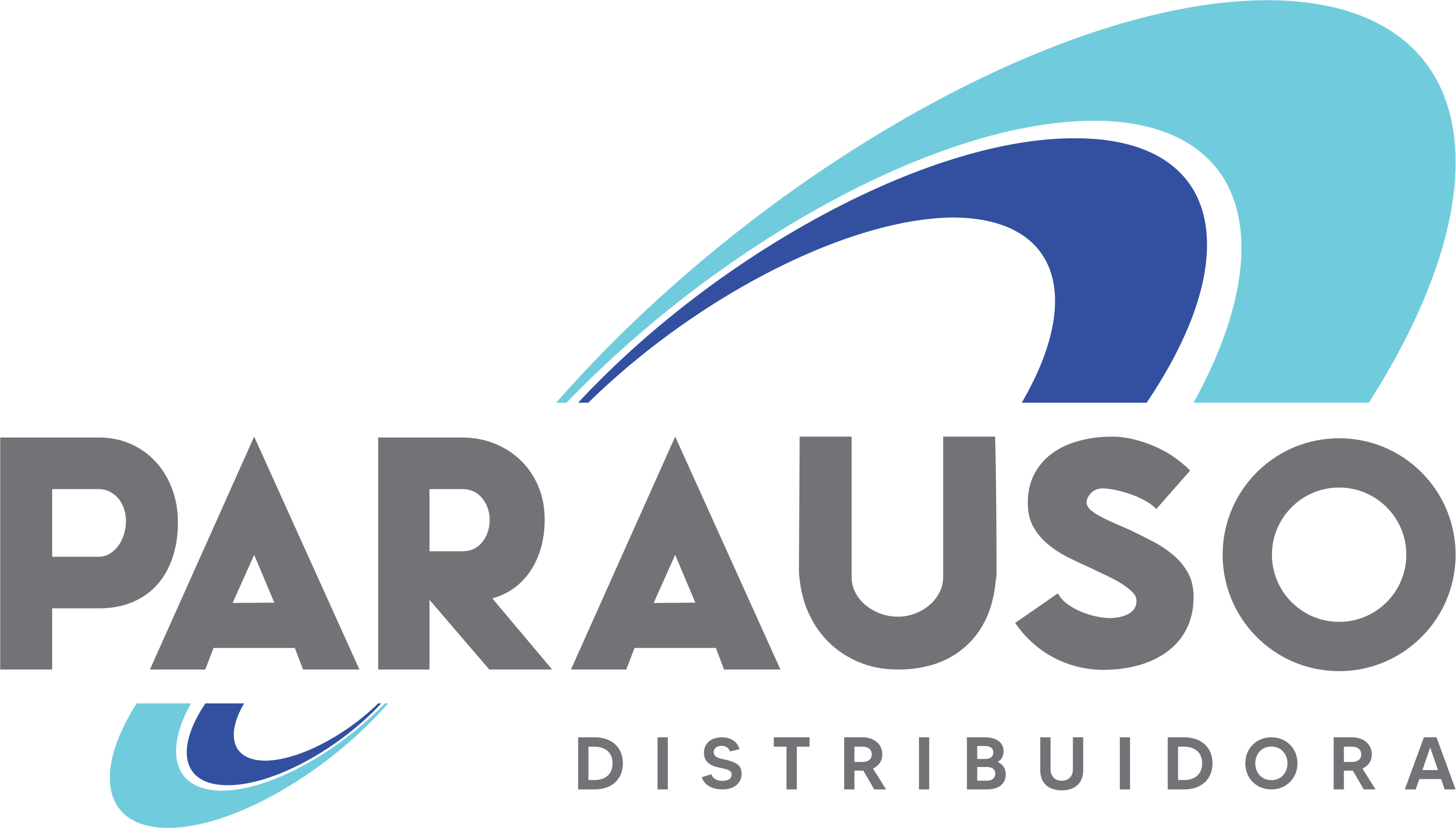 PARAUSO DISTRIBUIDORA 