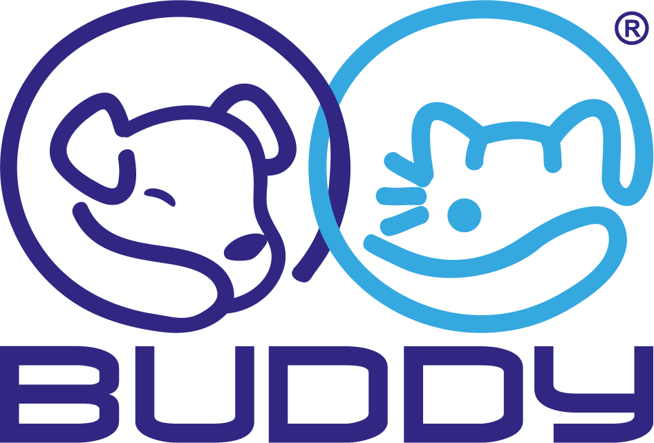BUDDY TOYS