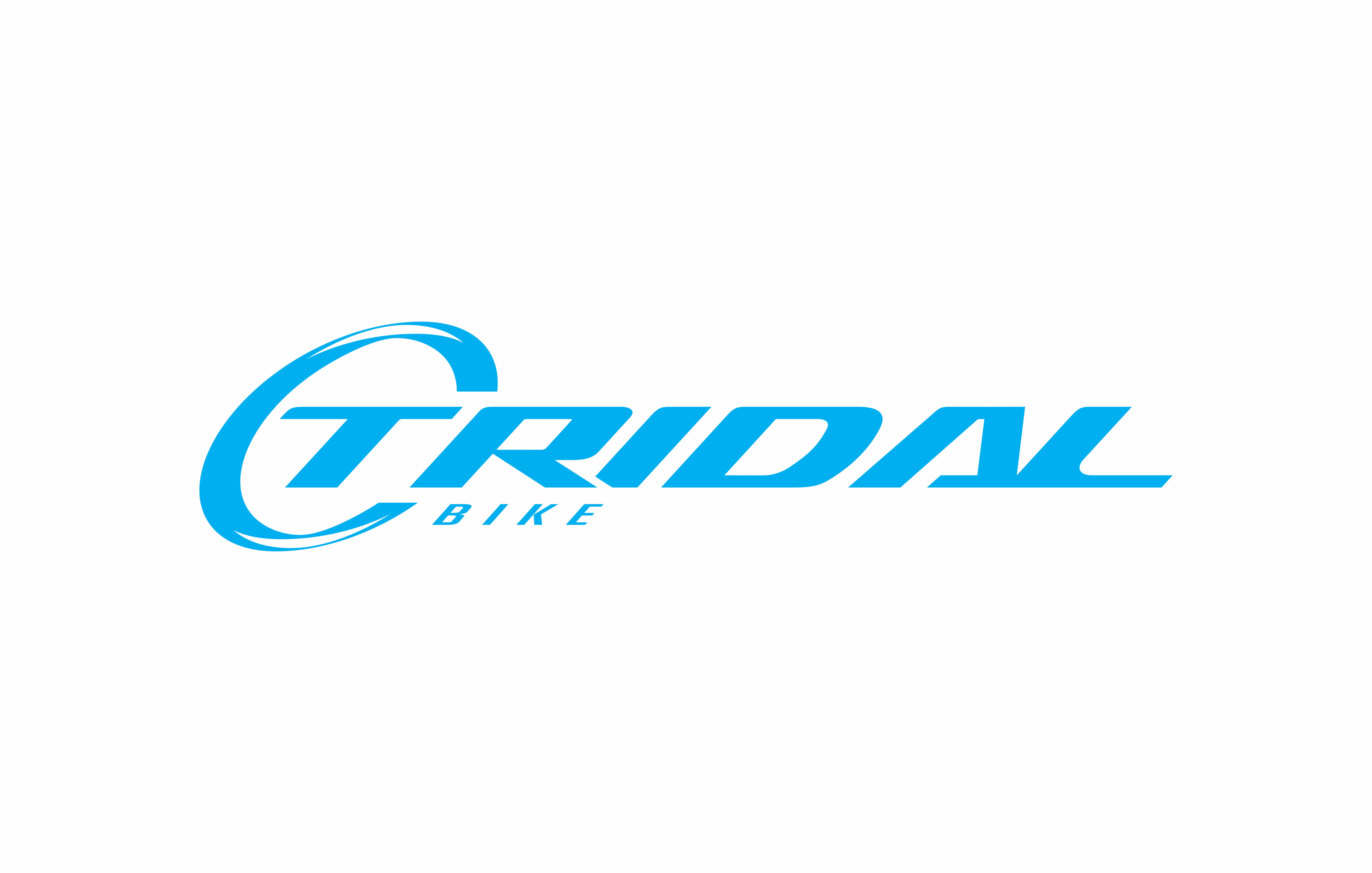 TRIDAL BIKE