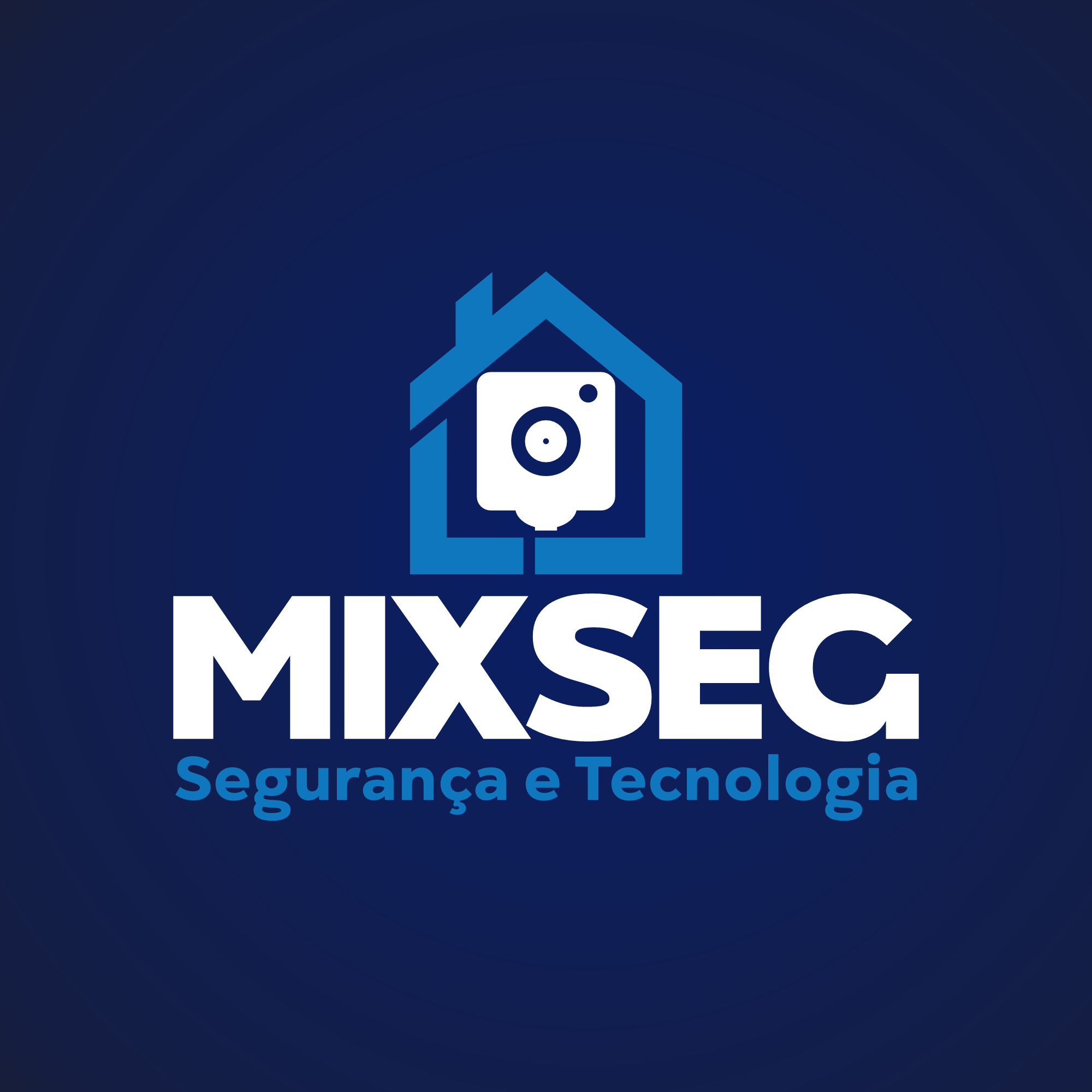 Mixseg Virtual
