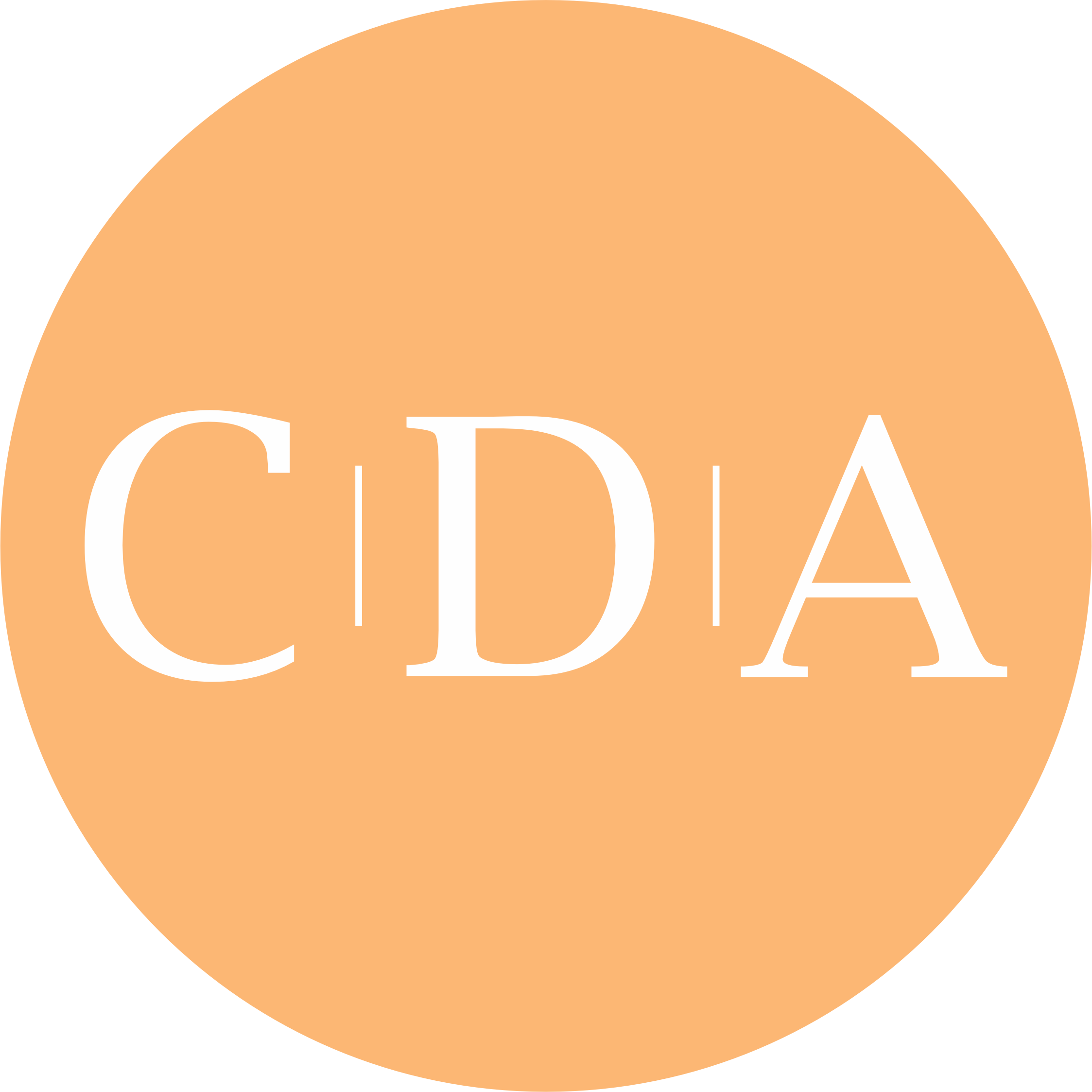 CIA DAS ALMOFADAS E DECORACOES LTDA