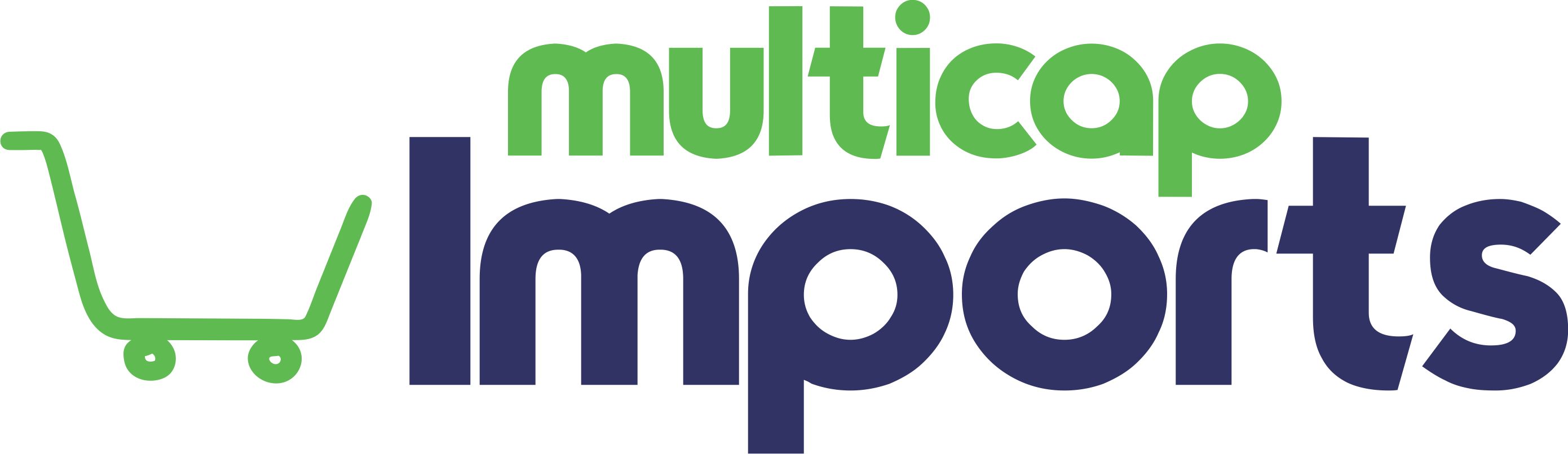 Multicap Imports