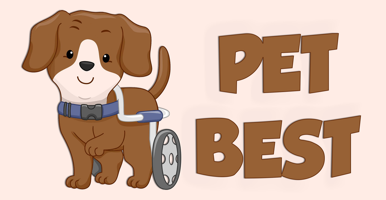 Pet Best