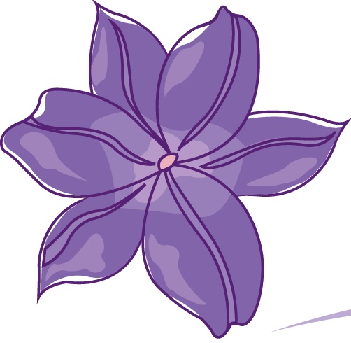 Morenaflor Perfumaria 