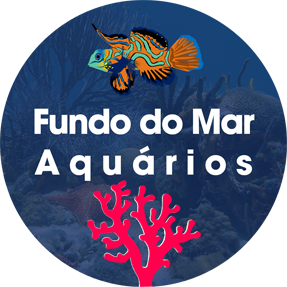 Fundo do mar aquários