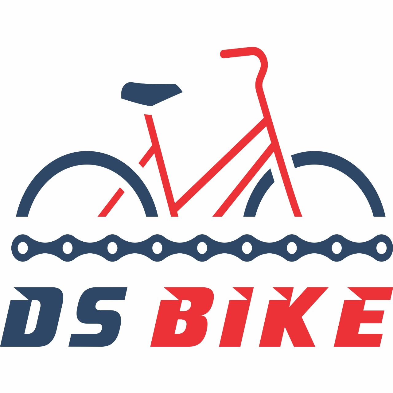 DS BIKE