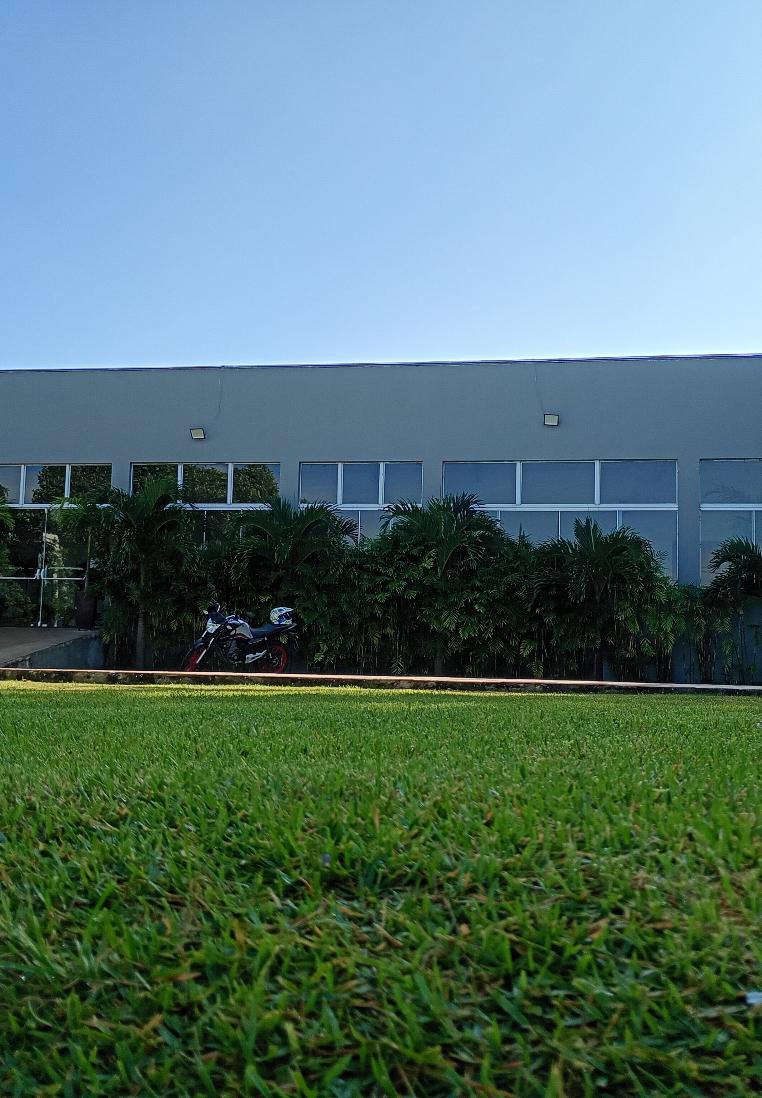 E.G. Pedreiro e pinturas