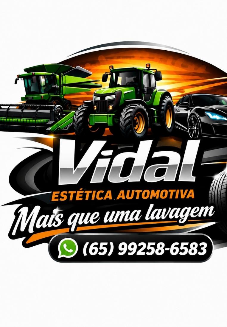 VIDAL ESTÉTICA AUTOMOTIVA 