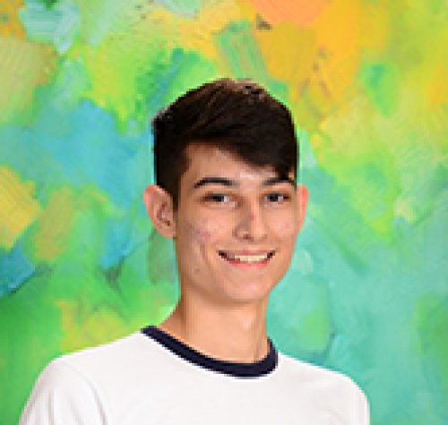  Alessandro Lucca Zaneti Cortizo 