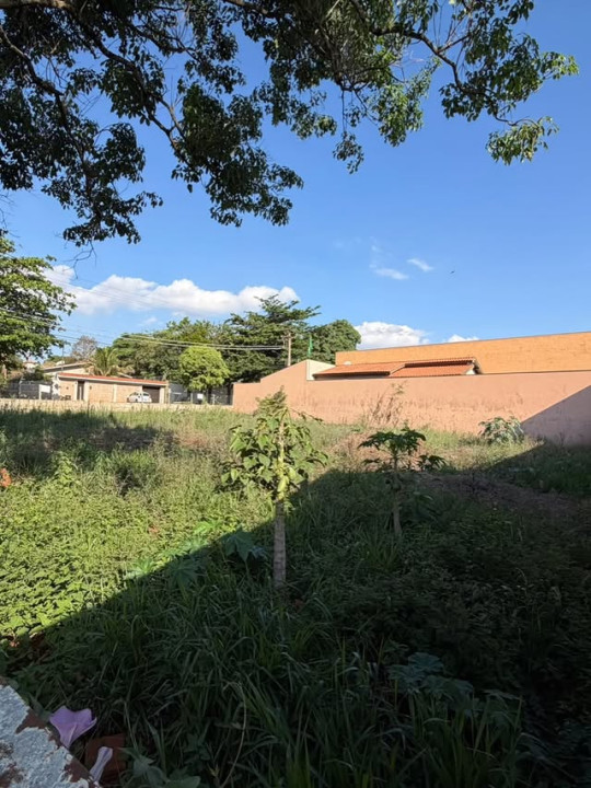 Terreno à venda na Vila Barbosa, Cordeirópolis, foto 3