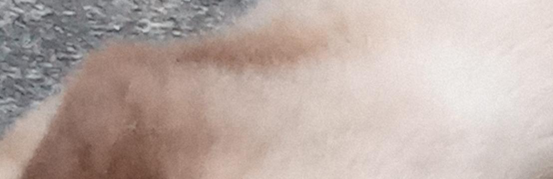 Nicholas Silva
