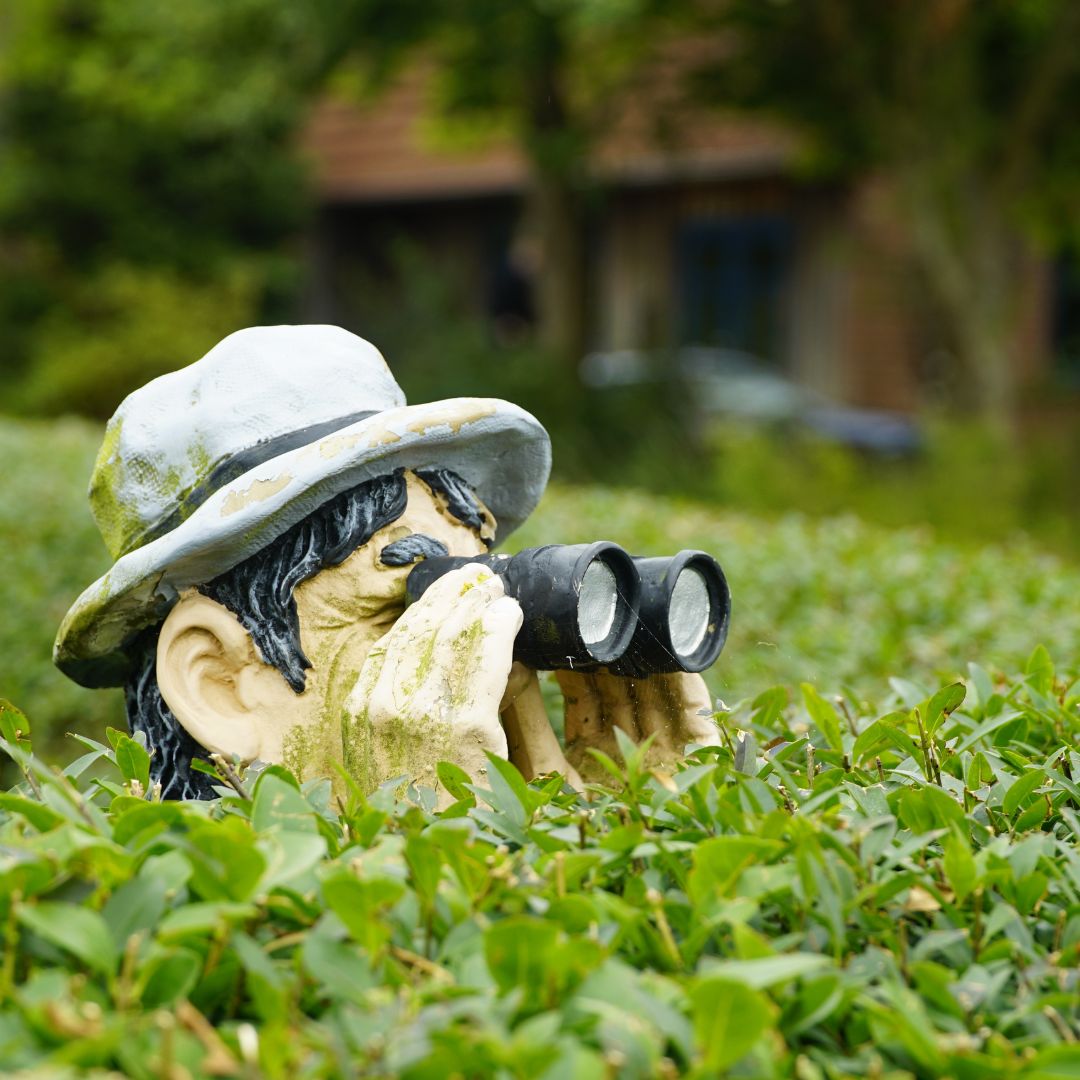 Se a minha vida fosse a sua eu saberia o que fazer