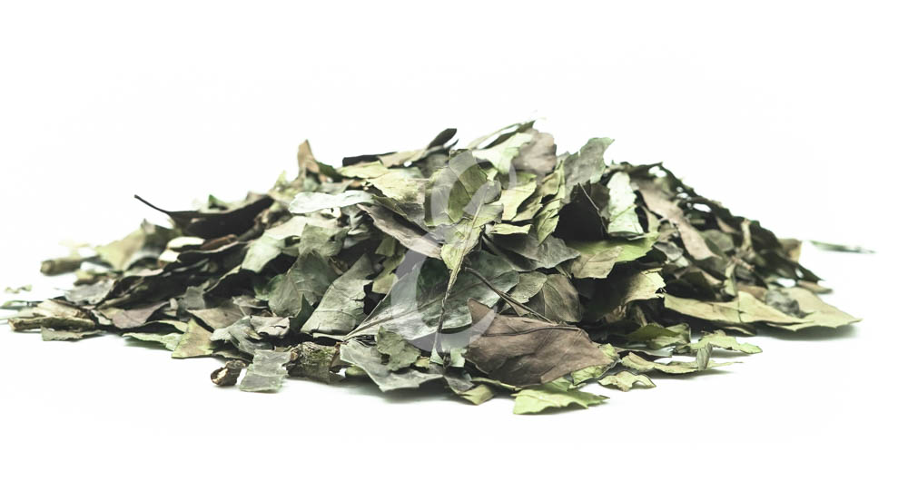 CHA VERDE FOLHA NACIONAL (BANCHA)