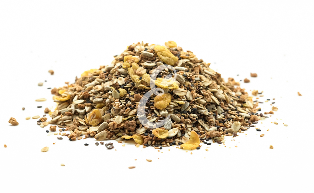 GRANOLA GRAN-PIC SALGADA