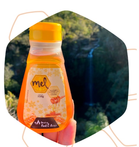 MEL SILVESTRE 250G POSSATO ( APIÁRIO PADRE ASSIS )