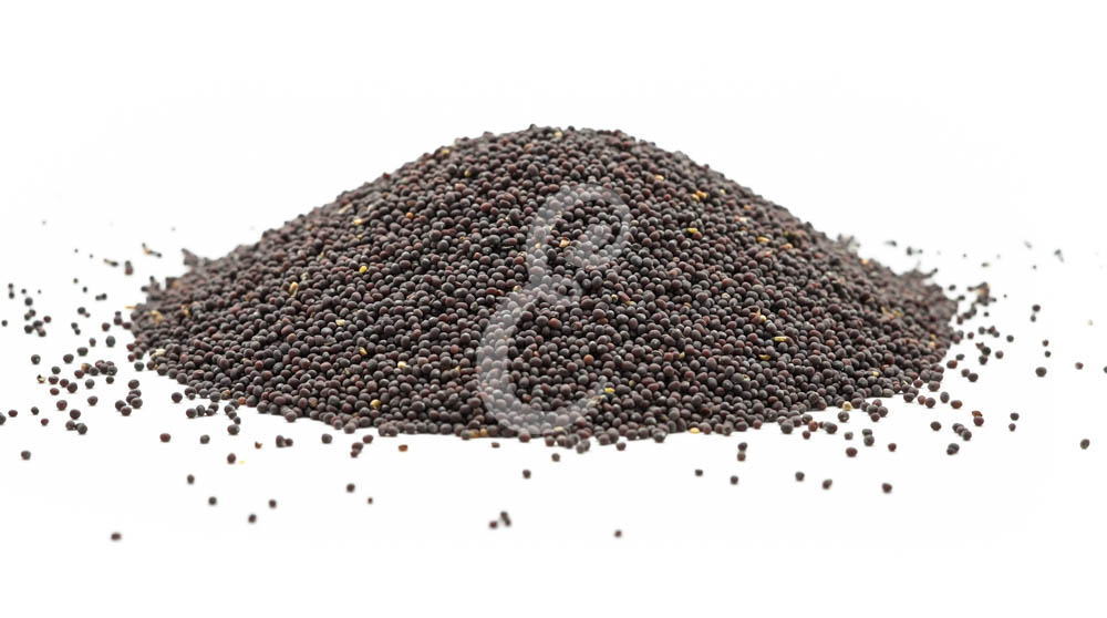 MOSTARDA GRAO MARROM CANADENSE