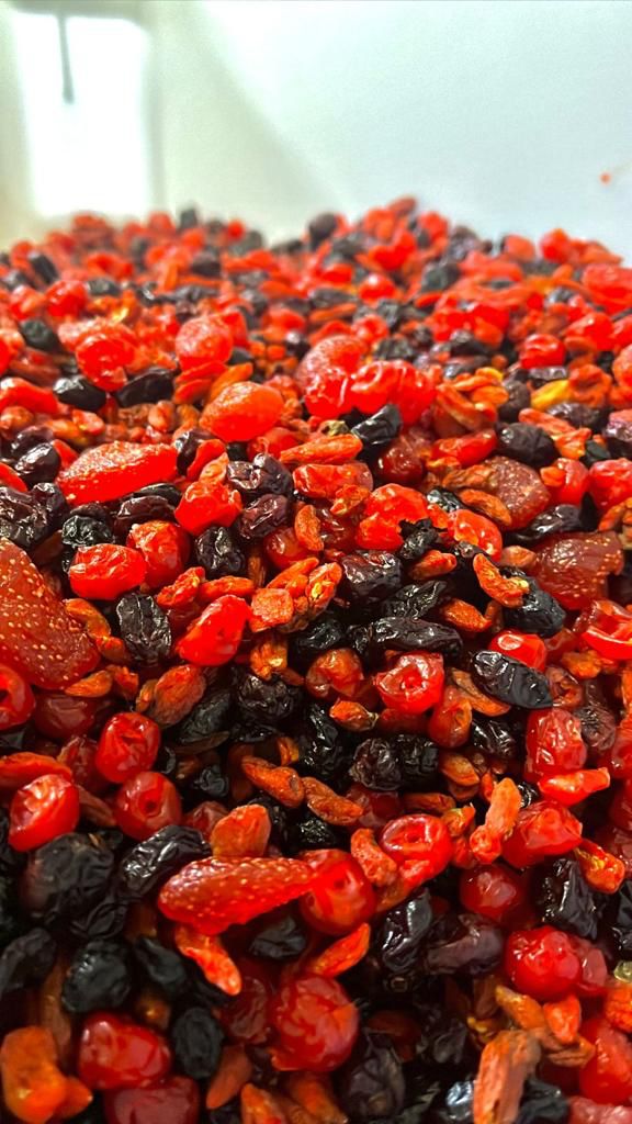 MIX DE FRUTAS VERMELHAS (morango,blueberry,cranberry,gogiberry,cereja)