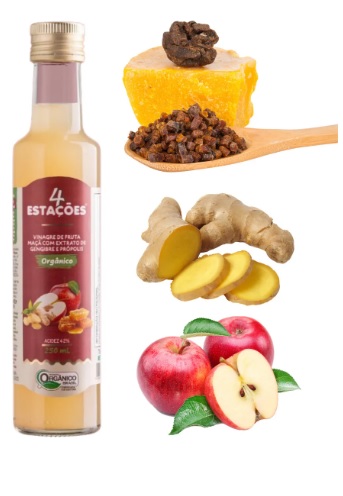VINAGRE DE MAÇA EXTRATO GENGIBRE / PROPOLIS 250Ml(organico)