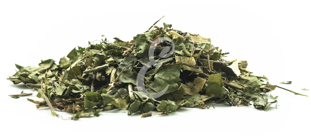 MARACUJA FOLHA RASURADA RAZURADO