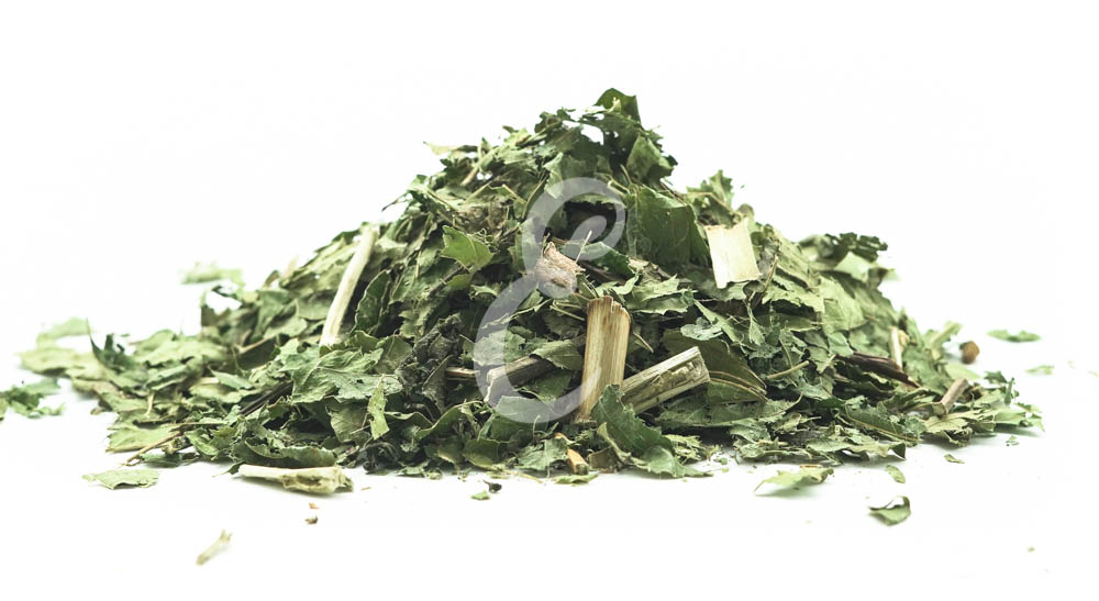 PATA DE VACA (rasurada)