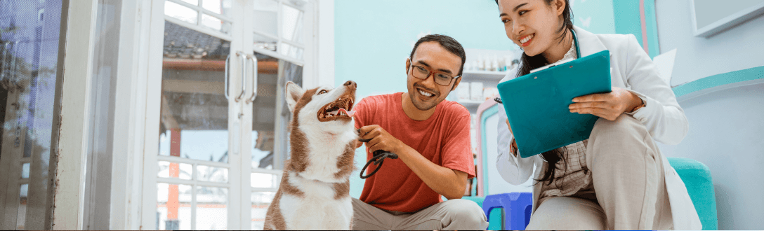 Clínica Veterinária pode ser MEI? Descubra como abrir empresa