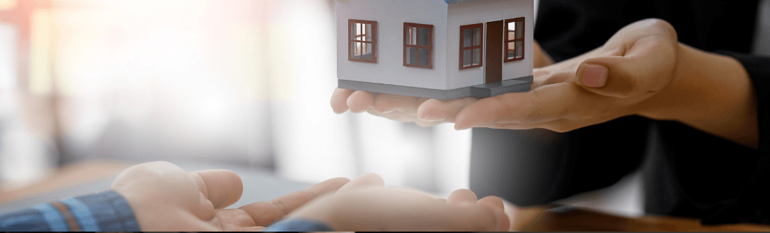 Holding de Imóveis recém formado. Onde trabalhar e o que fazer para ganhar dinheiro