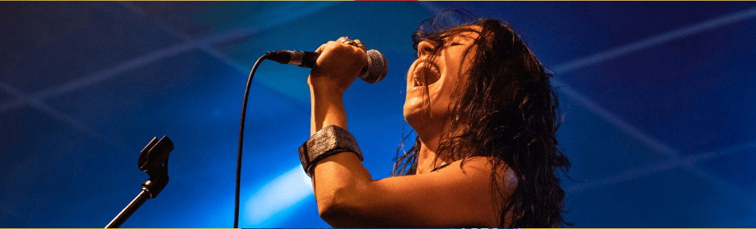 CNAE 9001-9/02 – Produção musical: cantor e músico independente pode ser MEI?