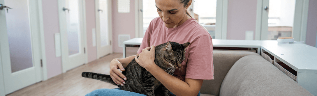 CNAE 9609-2/07 – Alojamento de animais domésticos: Simples Nacional, MEI e abertura de empresa