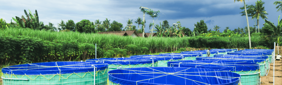 CNAE 0322-1/07 – Atividades de apoio à aquicultura em água doce: Simples Nacional e abertura de empresa