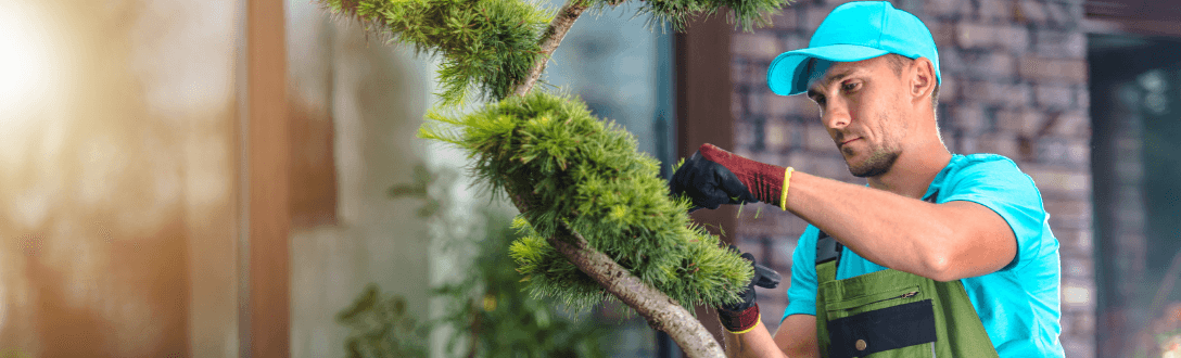 CNAE 8130-3/00 – Atividades paisagísticas: Simples Nacional, MEI e abertura de empresa