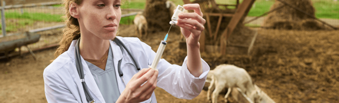 CNAE 4771-7/04 – Comércio varejista de medicamentos veterinários: Simples Nacional e abertura de empresa