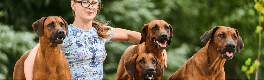 CNAE 0159-8/02 – Criação de animais de estimação: pode ser MEI? quanto paga e quando desenquadrar do MEI