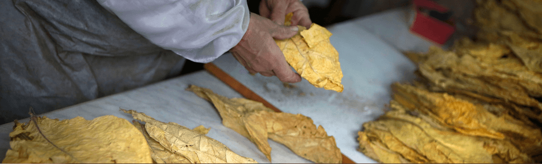 CNAE 1220-4/99 – Fabricação de outros produtos do fumo: pode ser MEI? quanto paga e quando desenquadrar do MEI