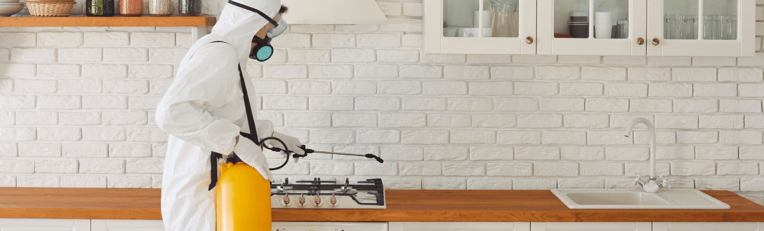 CNAE 8122-2/00 – Imunização e controle de pragas urbanas: Simples Nacional, tributação e abertura de empresa