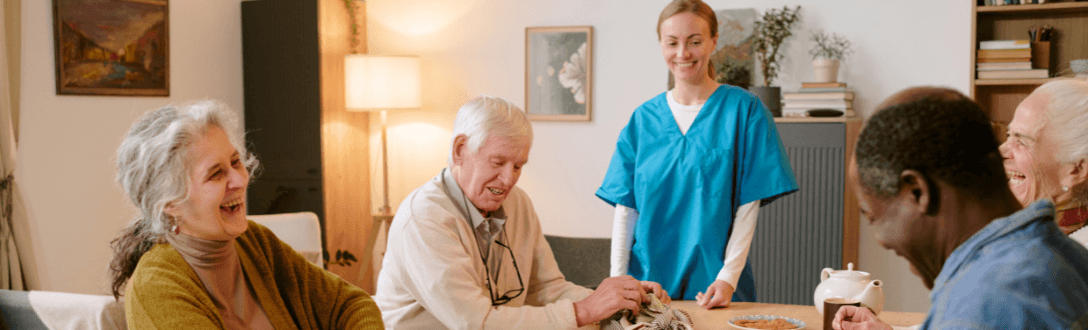 CNAE 8711-5/02 – Instituições de longa permanência para idosos: Simples Nacional e abertura de empresa