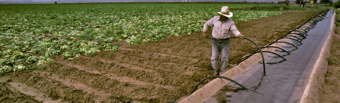 CNAE 3314-7/11 – Manutenção e reparação de máquinas e equipamentos para agricultura e pecuária: Simples Nacional e abertura de empresa
