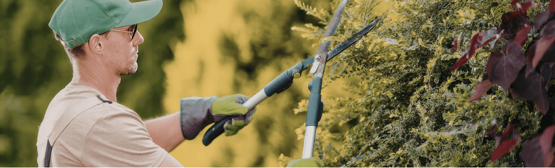 CNAE 0161-0/02 – Serviço de poda de árvores para lavouras: pode ser MEI? quanto paga e quando desenquadrar do MEI