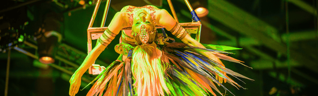 CNAE 9001-9/04 – Produção de espetáculos circenses, de marionetes e similares: Simples Nacional e abertura de empresa