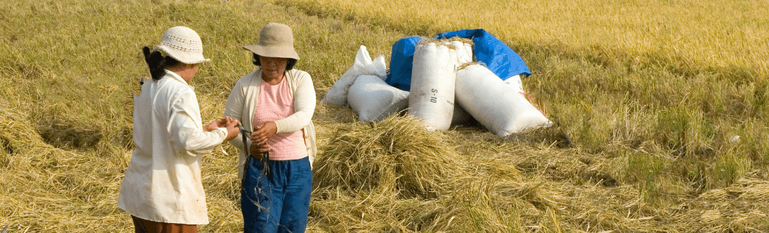 CNAE 0161-0/03 – Serviço de preparação de terreno, cultivo e colheita: Simples Nacional, MEI e abertura de empresa