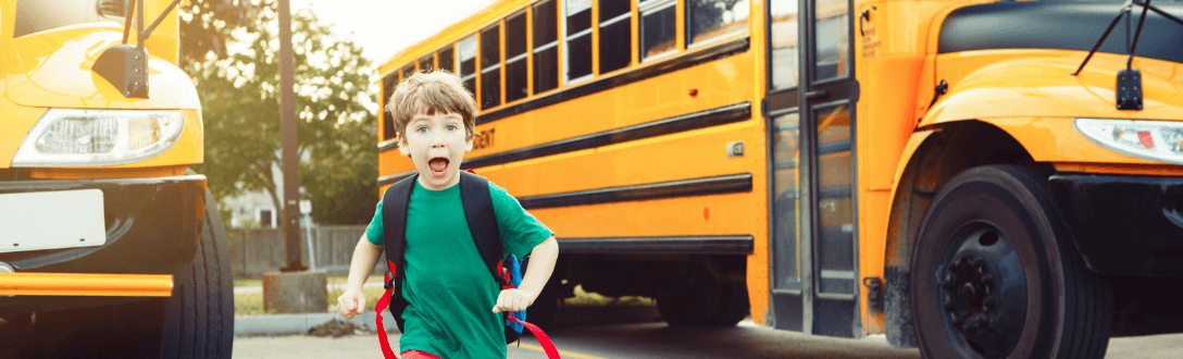 CNAE 4924-8/00 – Transporte escolar: pode ser MEI? quanto paga e quando desenquadrar do MEI
