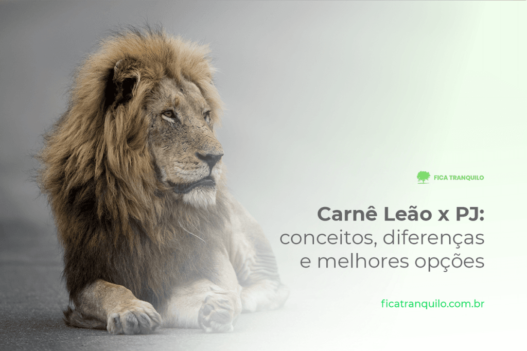 Carnê- Leão x PJ: conceitos, diferenças e melhores opções