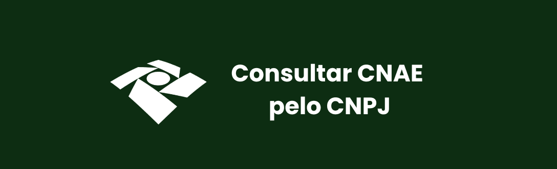 Como consultar CNAE pelo CNPJ: passo a passo completo