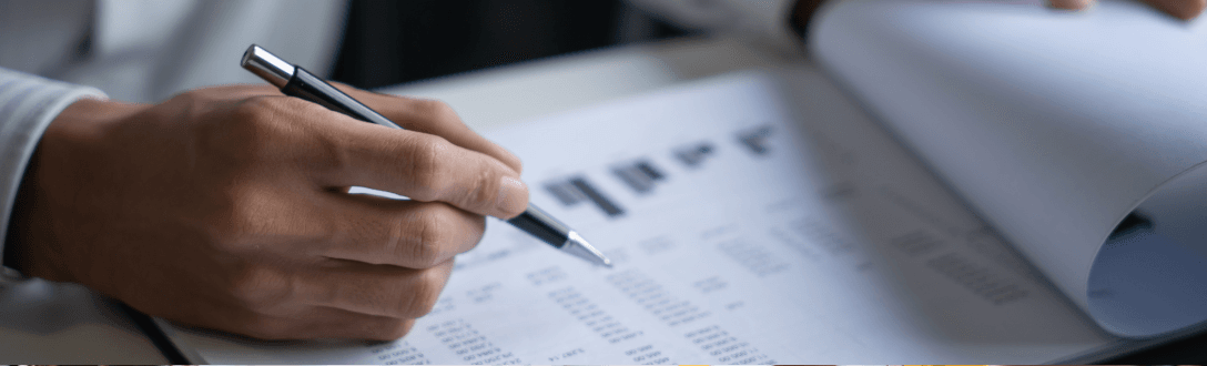 DVP: o que é, significado e aplicação na contabilidade pública