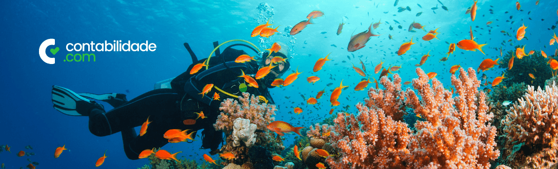 CNAE 7420-0/02 – Atividades de produção de fotografias aéreas e submarinas: Simples Nacional, MEI e abertura de empresa