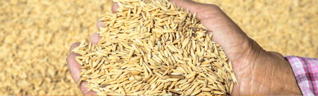 CNAE 1061-9/02 – Fabricação de produtos do arroz: pode ser MEI? quanto paga e quando desenquadrar do MEI
