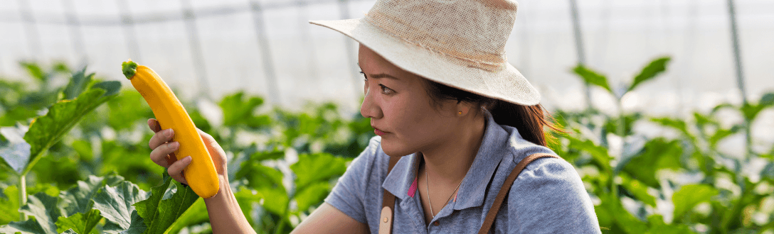 CNAE 0161-0/03 – Serviço de colheita agrícola: pode ser MEI? quanto paga e quando desenquadrar do MEI